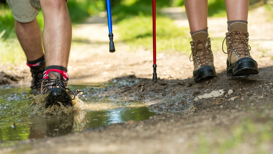 Best Walking Socks: How to Choose the Right Pair for Comfort and Support